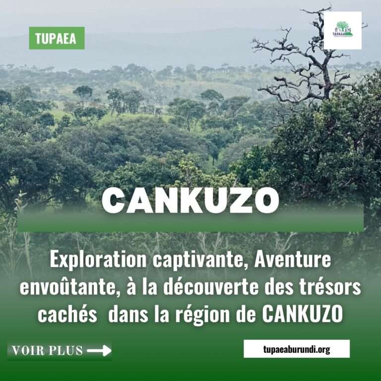 CANKUZO : Une exploration captivante  dans la région de Cankuzo au Burundi. 